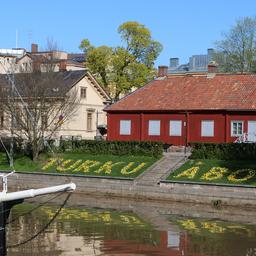 Vårblommor präglar Åbo och Åbo vid Auraälvens strand.