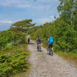 En grupp på tre cyklister slingrar sig fram längs en stig på Örö fästningsö.
