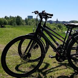 Two bikes, on loan from Carfield Bike Rental, are parked on top of a hill.